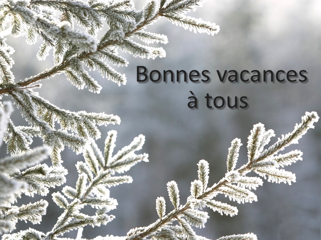 vacances sapin hiver